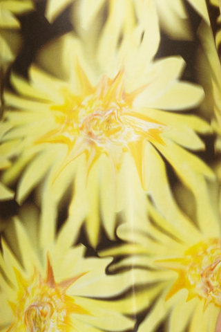 Lottie Maxi Dress - Chocolate Sunflower