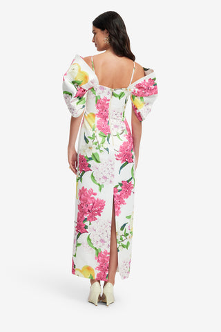 Arabella Maxi Dress - Floral Pear Print