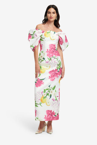 Arabella Maxi Dress - Floral Pear Print