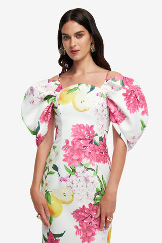 Arabella Maxi Dress - Floral Pear Print