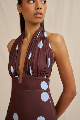 Paloma Polka Ankle Dress - Blue Brown Spot