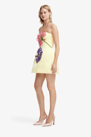 Roselle Appliqué Bustier Mini Dress - Agapanthus Print