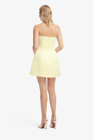 Roselle Appliqué Bustier Mini Dress - Agapanthus Print