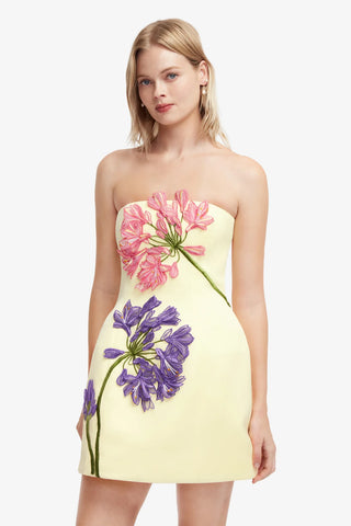 Roselle Appliqué Bustier Mini Dress - Agapanthus Print